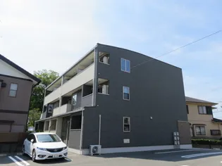 マイズの画像