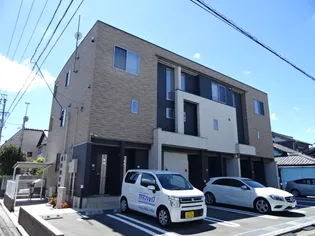 メイフラワーの画像