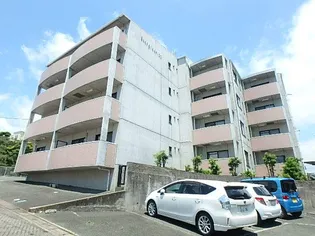 エバーグリーン21の画像