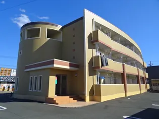 GOLD M KAMOの画像