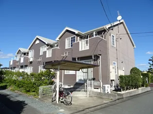 マインゼーレの画像