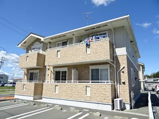 エヴァーグリーンの画像