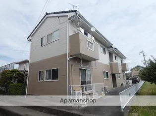 ファーストメイプルの画像