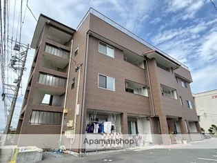 エーデルワイスIIの画像