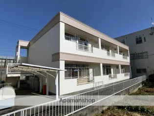 レクセル亀の甲の画像