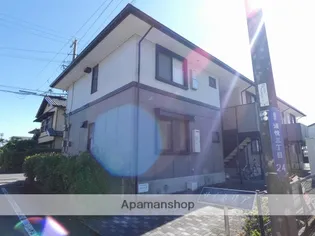 サイネリアの画像