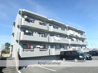 ラ プリマベーラの画像