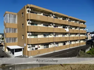 ユーミーSUZUKIの画像