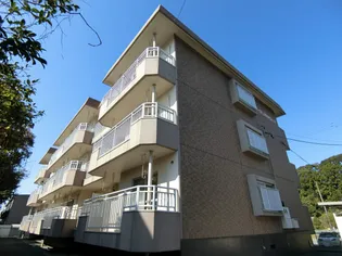 カーサプリマベーラの画像