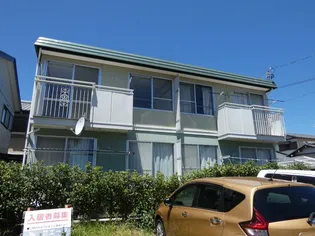 エバーグリーンの画像