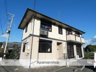 ドリアンの画像