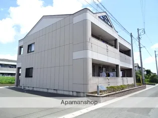 オリーブの画像