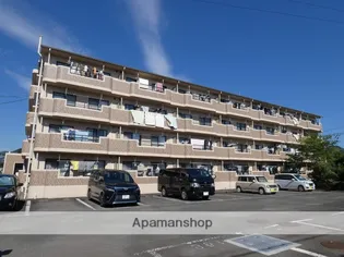 ルミエールの画像