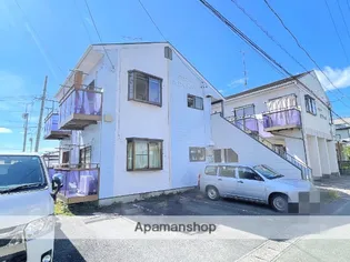 タウニーホワイトベルの画像