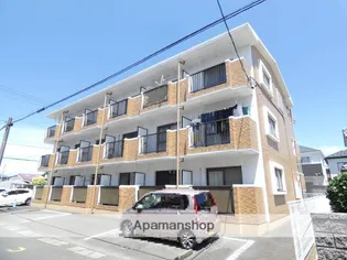 ライクキャスケットの画像