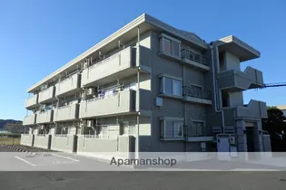 エヴァーグリーンの画像