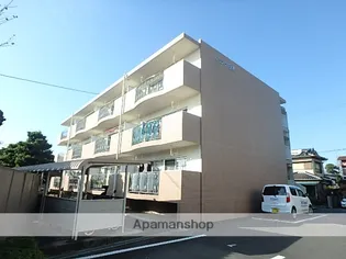 ハミング白木の画像