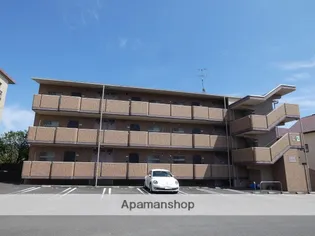 サンフラワーの画像