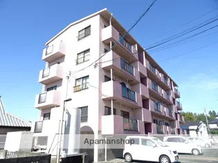 サンオリビアの画像