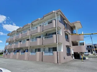 ビーハイヴの画像