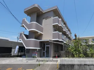 シングルエイトの画像