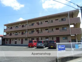 メインライトの画像