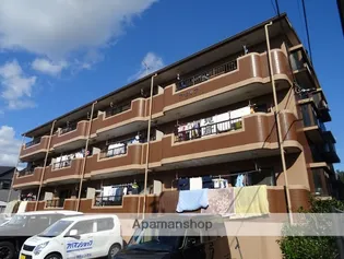 アゼリアの画像