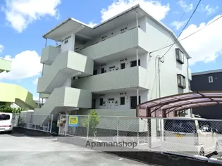 レーディゲン初生の画像