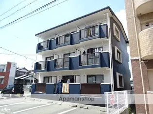 パイン ベースの画像