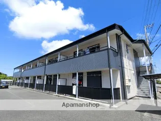 SURPLUSチェリーの画像