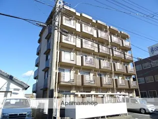 シャロームアイの画像