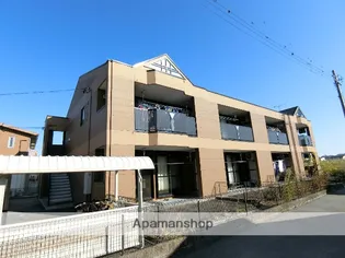 シンシアの画像