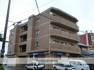 シャレシュエットの画像