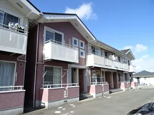 ファレノプシス Aの画像