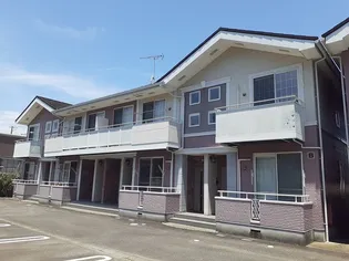 ファレノプシス Aの画像