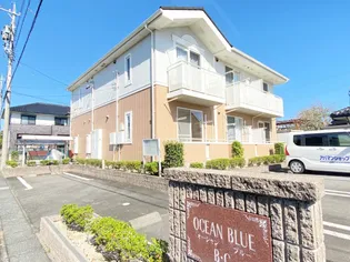 オーシャンブルーBの画像