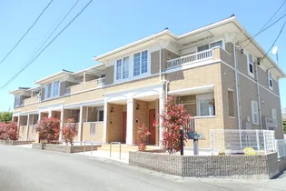 ベル メイプルの画像