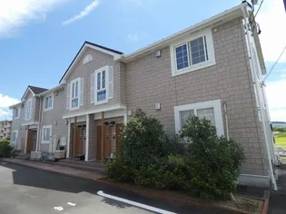 シンシアIIの画像