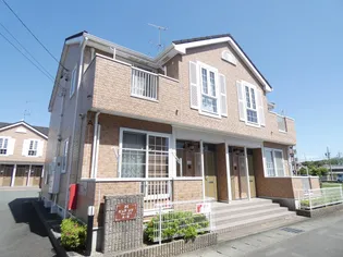 ピュア リブ Aの画像