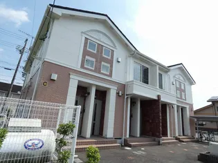 ピュア ミキ Cの画像