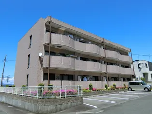 グラン・新星【3階】の外観