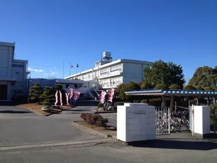 ベル ビレッジ 秋葉通り Ⅱ【1階】の周辺