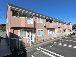 サンライズの画像