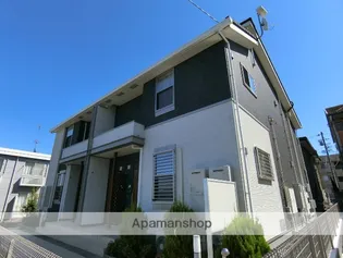 ルピナスの画像