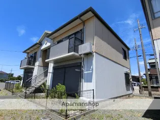 パレフローラCの画像