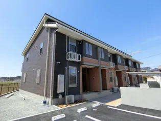 プラシードIIの画像