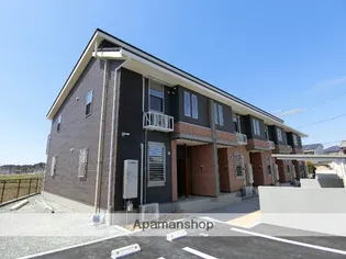 プラシードⅡの画像