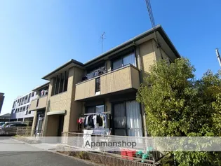 コートモデルノBの画像