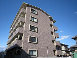 ドルフィンの画像