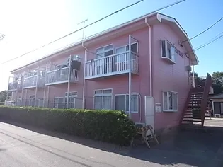 シャルマンAの画像